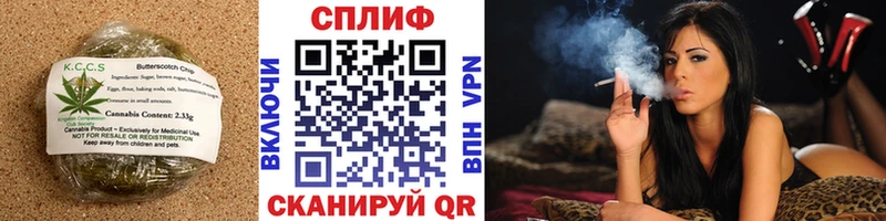omg ТОР  Спасск-Дальний  Cannafood конопля 
