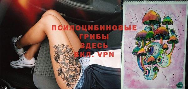 герыч Арсеньев