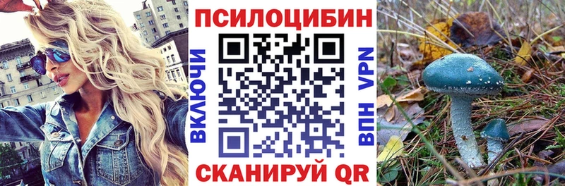 darknet формула  Спасск-Дальний  Псилоцибиновые грибы Psilocybe  закладки 